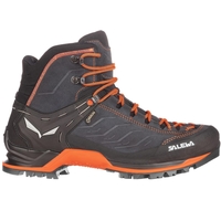 Salewa Mountain Trainer Mid GTX