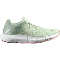 Salomon Predict 2