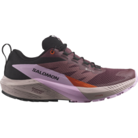 Salomon Sense Ride 5 GTX