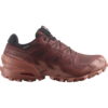 Salomon Speedcross 6 GTX