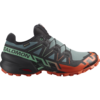 Salomon Speedcross 6 GTX
