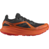 Salomon Ultra Flow GTX