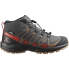 Salomon XA Pro V8 Mid 