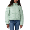 The North Face 2000 Puffer