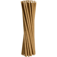 ABENA Trinkhalme Papier,  Braun,  19, 5 cm,  Ø 0, 6 cm 1 Karton = 20 Packungen à 250 Stück