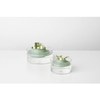 Brabantia TASTY+ Nachzucht-Kit für Kräuter/Gemüse 124402,  Farbe: Jade Green