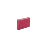 Color Clean HACCP Schwamm Farbe: rot