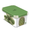 CURVER DECO´s Stockholm Aufbewahrungsbox,  5, 5 Liter 04710-B63-07,  Design: Succulents