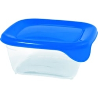 CURVER FRESH & GO Frischhaltedose K182250KB70KK,  Fassungsvermögen: 0, 25 Liter,  Maße: 10, 5 x 10, 5 x 4, 4 cm
