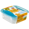 CURVER FRESH & GO Frischhaltedosen,  4-tlg 08927-051-49,  1 Set: 1x 0, 25 Liter,  1x 0, 8 Liter,  1x 1, 7 Liter,  1x 2, 9 Liter