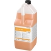 ECOLAB MAXX Into Alk 2 Sanitärreiniger 9084760,  5 Liter - Kanister