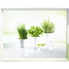 EMSA Classic Tablett "Herbs" 504859,  Maße: 40 x 31 cm