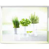 EMSA Classic Tablett "Herbs" 504859,  Maße: 40 x 31 cm