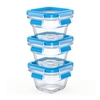 EMSA Clip & Close Frischhaltedose Glas,  Baby-Set,  3 x 180 ml N1050700,  3 x 180 ml - Dosen