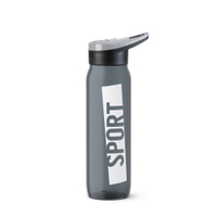 EMSA DRINK2Go PP Trinkflasche N3040200,  Farbe: grey/sport