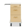 ETERNASOLID MULTICART Dokumentenwagen T16 mit Laptopauszug 92498-BE,  Farbe: beige