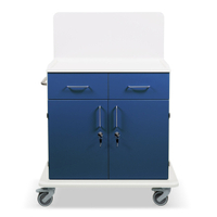ETERNASOLID MULTICART Multifunktionswagen T21 mit Rückwand 92635-BL,  Farbe: blau