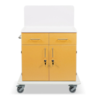 ETERNASOLID MULTICART Multifunktionswagen T21 mit Rückwand 92635-GE,  Farbe: gelb