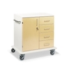 ETERNASOLID MULTICART Multifunktionswagen T22 mit einer Drehtür 92633-BE,  Farbe: beige