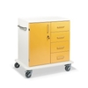 ETERNASOLID MULTICART Multifunktionswagen T22 mit einer Drehtür 92633-GE,  Farbe: gelb