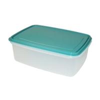 Gies giesline Frischhaltebox,  nordic-mint 4460,  Fassungsvermögen: 4, 5 Liter