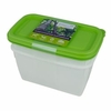 Gies greenline Tiefkühldose Set 3666,  Fassungsvermögen: 2 x 1000 ml