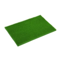Golze Season Außenbereich Türmatte,  40 x 60 cm 0244015030,  Farbe: grün
