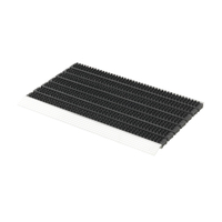 Golze Super Brush Alu-Fußmatte,  40 x 60 cm 1850015044,  Farbe: schwarz