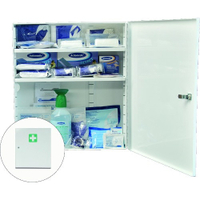 GRAMM medical Metall-Branchenschrank Werkstatt / KFZ 418.036.00601,  Mit Inhalt nach DIN 13 157 zzgl. branchentypischer Ergänzung