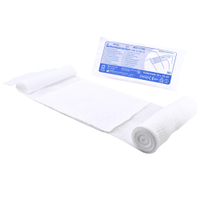 GRAMM medical Verbandpäckchen DIN 13 151 321.043.01000,  100 x 120 mm