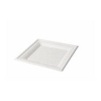 Greenbox Teller,  Zuckerrohr,  quadratisch,  weiß DSE08714,  1 Karton = 10 Packungen à 50 Stück,  Maße (L x B): 20 x 20 cm