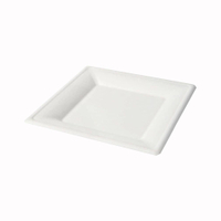 Greenbox Teller,  Zuckerrohr,  weiß,  quadratisch DTW087211,  1 Packung = 50 Stück,  Maße (L x B): 26 x 26 cm