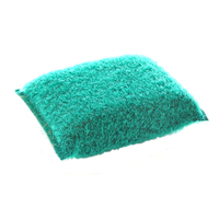 Haug Abrasivschwamm klein 5123,  Farbe: grün