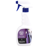 HOLSTE Bügelhilfe 363,  500 ml - Flasche mit Sprühpistole