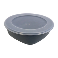 Koziol Box mit transparentem Deckel,  auslaufsicher 8275701,  Fassungsvermögen: 1, 3 Liter