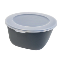 Koziol Box mit transparentem Deckel,  robustes Kunststoff-Material 8871701,  Fassungsvermögen: 2 Liter