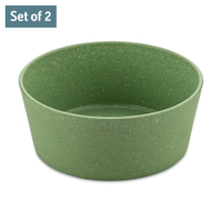 Koziol CONNECT BOWL Schale,  2er Set,  890 ml 7171703,  Farbe: grün