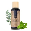 Liebenstein Saunaduft Atemfrei,  Eukalyptus,  Latschenkiefer,  Minze 1004,  100 ml - Flasche