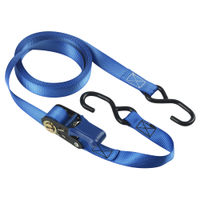 Master Eco Zurrgurt mit Druckratsche und S-Haken 4366EURDAT 4366EURDAT,  1 Stück,  5 m,  blau