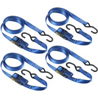 Master Eco Zurrgurt mit Druckratsche und S-Haken 4367EURDAT 4367EURDAT,  1 Packung = 4 Stück,  5 m,  blau