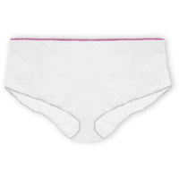 Meditrade BeeSana Einwegslip 2252,  1 Packung = 20 Stück,  Bundweite 54 - 58 cm,  braun,  L