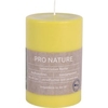 Müller Kerzen "PRO NATURE" Stearin Stumpenkerze,  100/68 mm 89910568HH,  1 Packung = 6 Stück,  honig