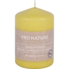 Müller Kerzen "PRO NATURE" Stearin Stumpenkerze 100/68mm 89910068HH,  1 Packung = 6 Stück,  honig