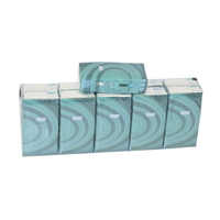 Papier-Taschentücher,  4-lagig,  100 % Zellstoff 1 Packung = 10 Päckchen zu je 10 Stück = 100 Stück