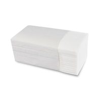 Papierhandtuch,  24 x 21, 5 cm,  2-lagig 1 Karton = 4000 Stück