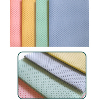 PROFI Lochleder Reinigungstuch PLL3838BL,  1 Packung = 10 Stück,  38 x 38 cm,  blau