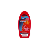 Reinex fresh Lufterfrischer Gel 1054,  125 g - Dose,  Red Berry