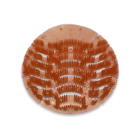 RMV Urinalsieb,  17, 5 x 17, 5 x 0, 2 cm Duft: Papaya/Citrus 2.0 Papaya/Zitrusfrucht