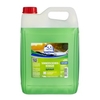 ROBBYROB Scheibenwischwasser,  insektenlösend 8811000000,  5 Liter - Kanister,  Apfel
