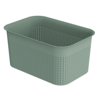 Rotho BRISEN Box,  4, 5 Liter 1023705092,  Farbe: Mistletoe green